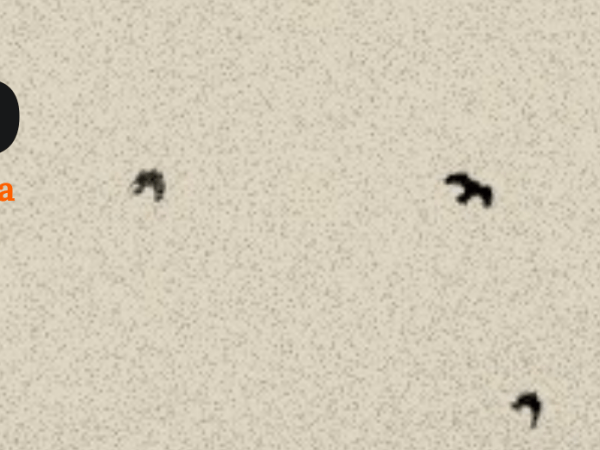 Podcast Migrando – Episodio 1: La&nbsp;vivienda